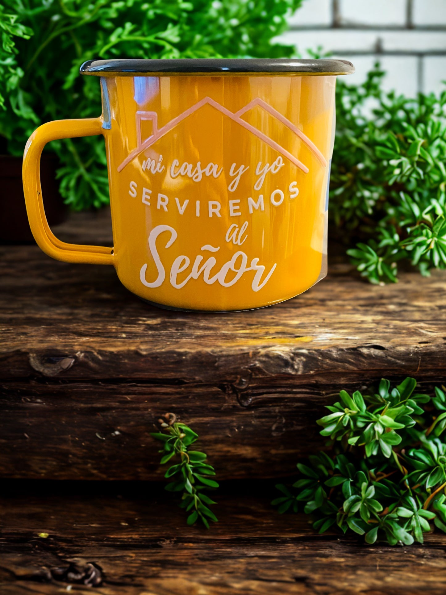 Enamel Mugs