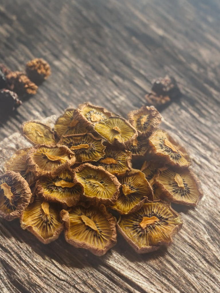Dried Kiwi